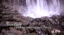 海參,大連海參,曉芹海參,海參加工 海參,大連海參,曉芹海參,海參加工