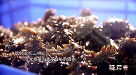 海參,大連海參,曉芹海參,海參加工 海參,大連海參,曉芹海參,海參加工