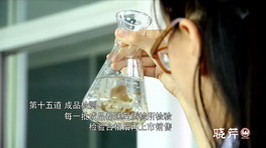 海參,大連海參,曉芹海參,海參加工 海參,大連海參,曉芹海參,海參加工