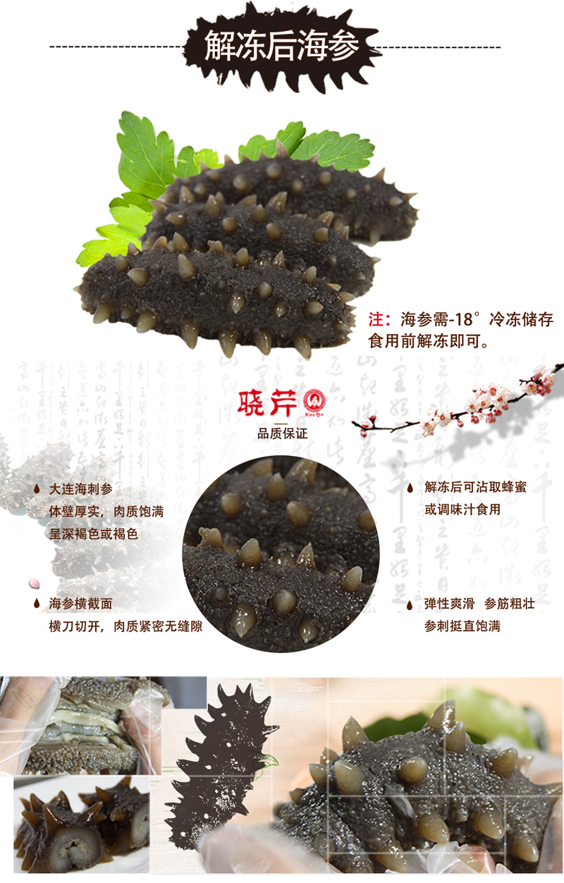 海參,即食海參,大連海參,曉芹海參,海參品牌,遼刺參,海鮮水產(chǎn) 海參,即食海參,大連海參,曉芹海參,海參品牌,遼刺參,海鮮水產(chǎn)
