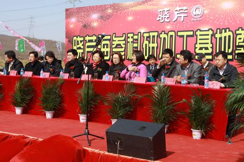 曉芹,海參,大連海參,曉芹海參 曉芹,海參,大連海參,曉芹海參