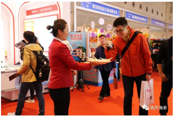 曉芹海參,海參,大連海參,食材 曉芹海參,海參,大連海參,食材